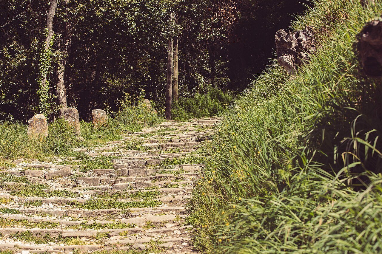 A walking path towards Motovun.
